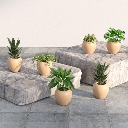 Lifelong Set of 6 Home Decor Planters for Living Room & Balcony