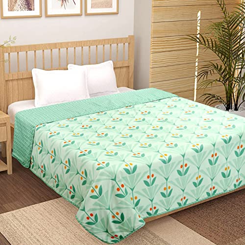 HOMEKART Cotton Super Soft Brushed Microfiber Cotton 2