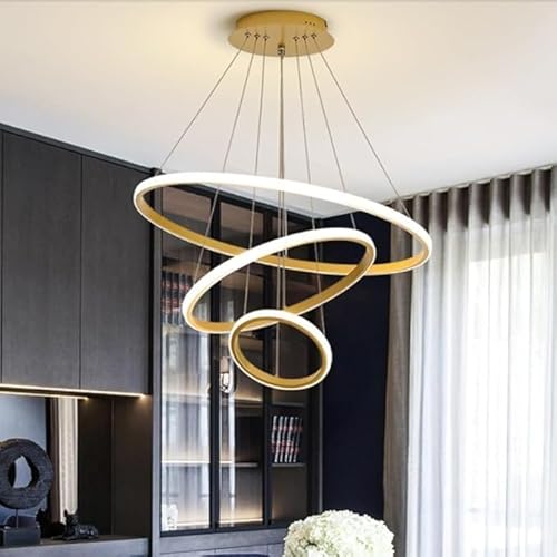 Desidiya® Modern Double 3-Ring LED Pendant Light Lamp –
