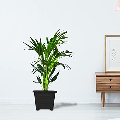 TrustBasket EarthBox-8 Square Plastic Planter Black (Set of