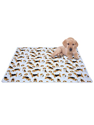 AAZEEM Soft Light Weight Mat for Dogs,Cats & Pets,
