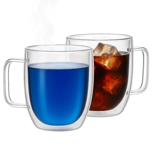 Vedic Tatva Double Wall Glass Cup 260ml Pack of 2 |