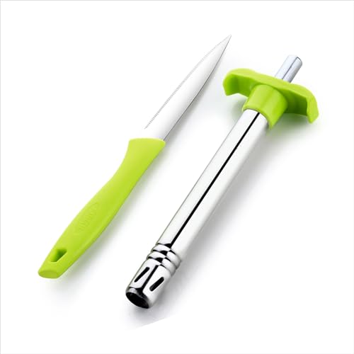 Ganesh Stainless Steel Kitchen Gas Lighter with Free