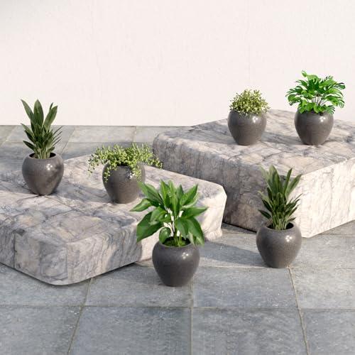 Lifelong Set of 6 Home Decor for Living Room & Balcony | 6 Inch Flower Pot | Decorative Indoor & Outdoor for Plants | Gamla, Pot Stand for Home & Garden Decoration | Ideal for Small Plants - Lifelong Lawn & Patio