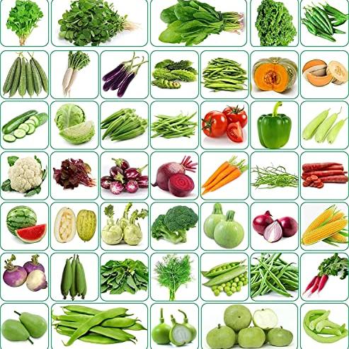 Seeds Basket 40 Vaeriety of Organic Vegetable Seeds Combo Suitable For All Season, Best to Grow At Indian Weather | Pack Of 2000+ Seeds| - Seeds Basket Lawn & Patio