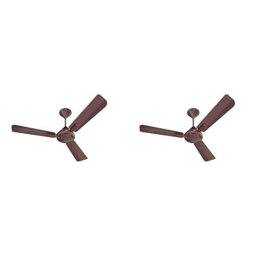 Havells 1200mm Ambrose ES Ceiling Fan | Premium Finish, Deco. Fan, Elegant Looks, High Air Delivery, Energy Saving, 100% Pure Copper Motor | 2 Year Warranty by Brand | (Pack of 2, Cola Espresso Brown) - Havells Kitchen