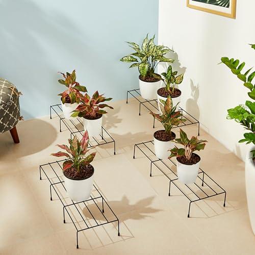 Amazon Brand - Solimo Metal Plant Stand (Set of 4, Black) – Powder-Coated Iron, Heavy-Duty, Corrosion-Resistant, Indoor & Outdoor Use, 20×58×12 cm, Holds up to 32.5 kg - Amazon Brand - Solimo Lawn & Patio