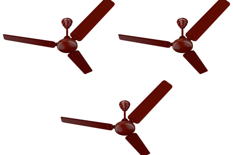 Buy Bajaj Frore 1200 Mm (48″) Star Rated Ceiling Fans For Home |Bee Star Rated Energy Efficient Ceiling Fan |Rust Free Coating For Long Life |High Air Delivery |2-Yr Warranty Brown (Pack Of 3), 1 Star Online at Low Prices in India – Amazon.in