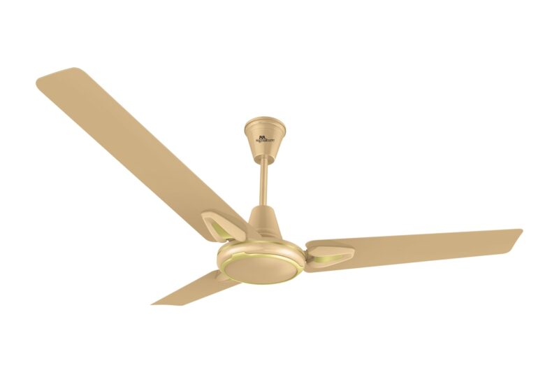 Buy RR Signaure Jetta 1200 MM Designer High Speed Ceiling Fan for Home | (Honey Gold, Pack of 1), 2 Years Warranty Online at Low Prices in India – Amazon.in