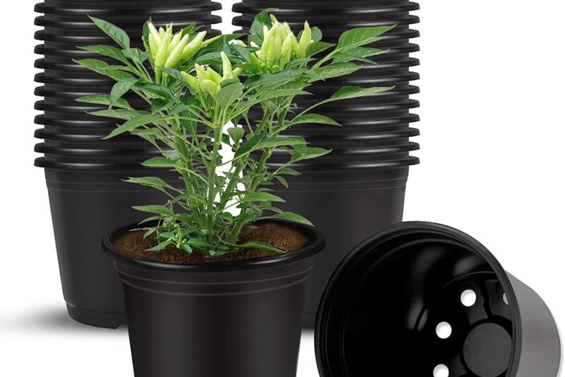 Plastic Flower Pots 3 Inch | Black Nursery Plant Pots for Indoor & Outdoor Gardening | Lightweight, Durable Pots with Drainage for Seeds, Succulents & Saplings | Pack of 40