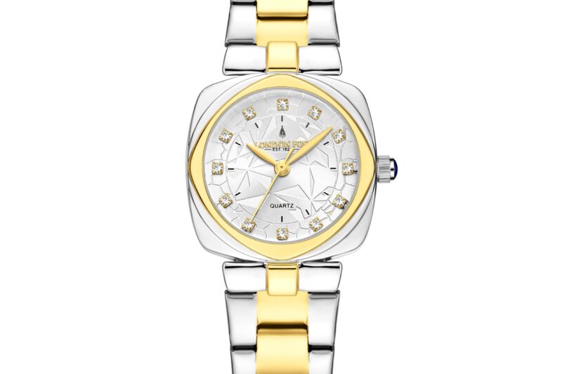 Titan Ladies Purple Womens Analog Watch – 2480QM01