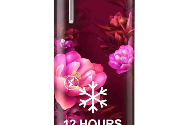 Whirlpool 184 L 2 Star Direct-Cool Single Door Refrigerator (205 WDE PRM 2S WINE SERENA-Y, Red, 2026 Model)